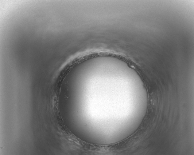 X0000059061495200510212012