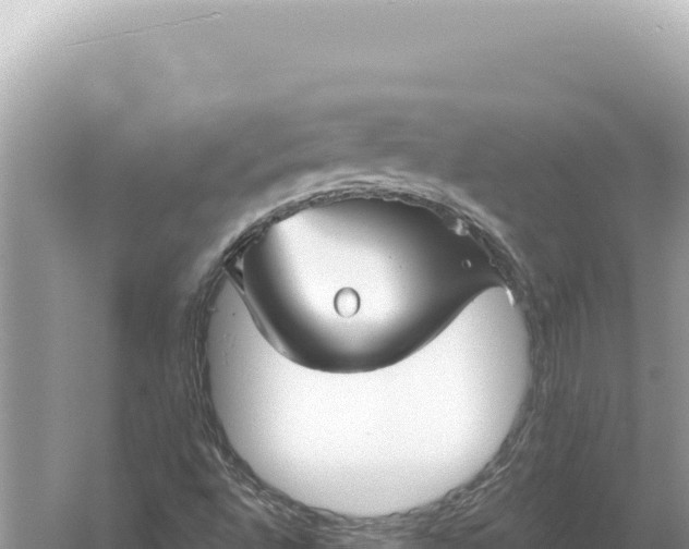 X0000059061496200510212012