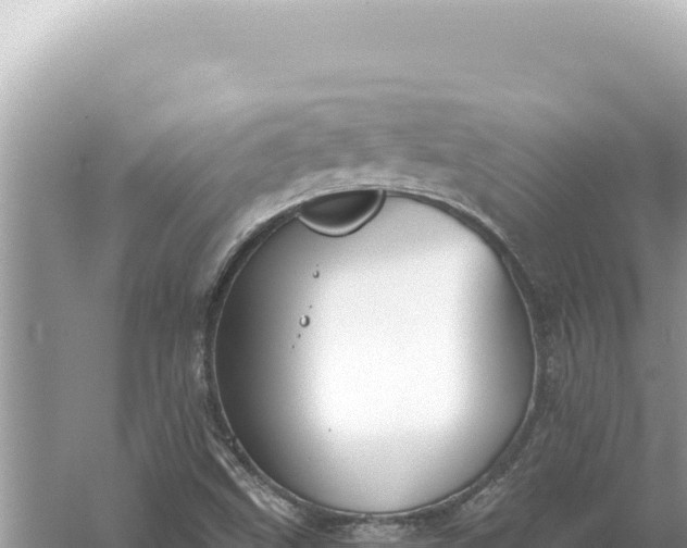 X0000059061499200510212012