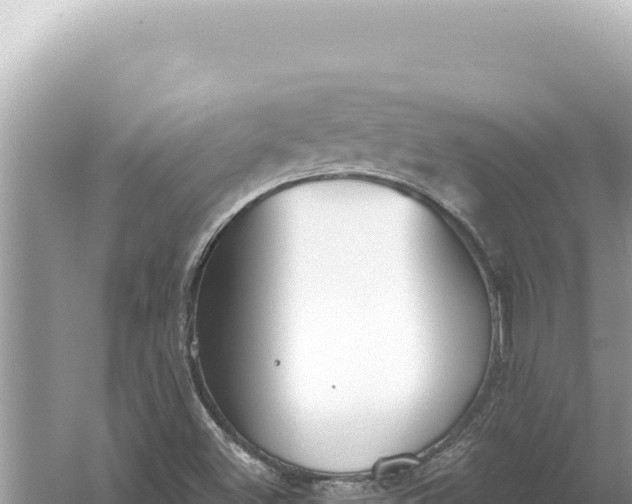 X0000059061500200510212012