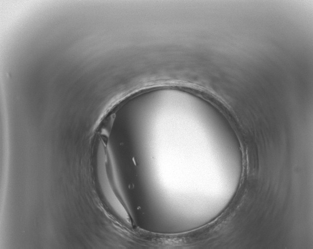 X0000059061501200510212012