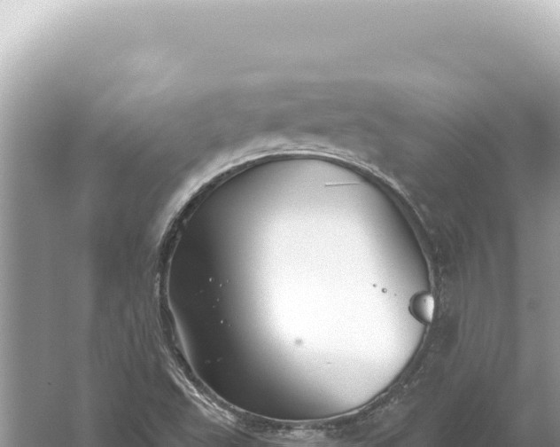 X0000059061503200510212013