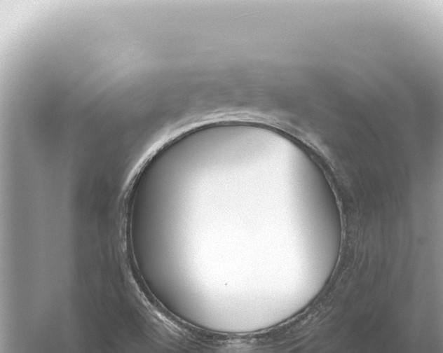 X0000059061504200510212013