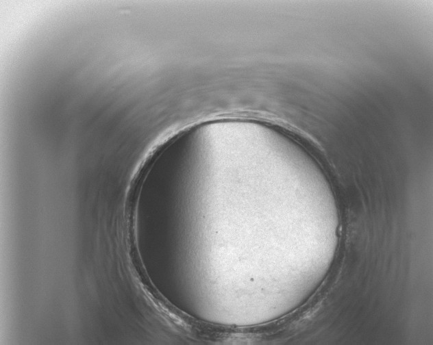 X0000059061506200510212013