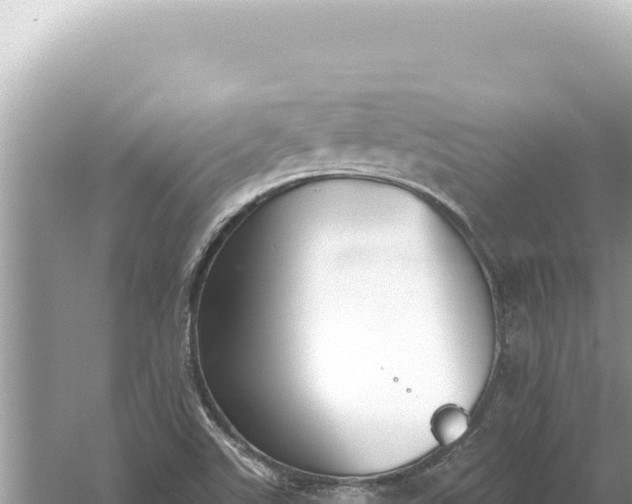 X0000059061507200510212013