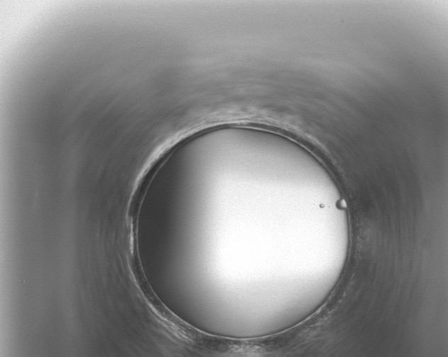 X0000059061509200510212013