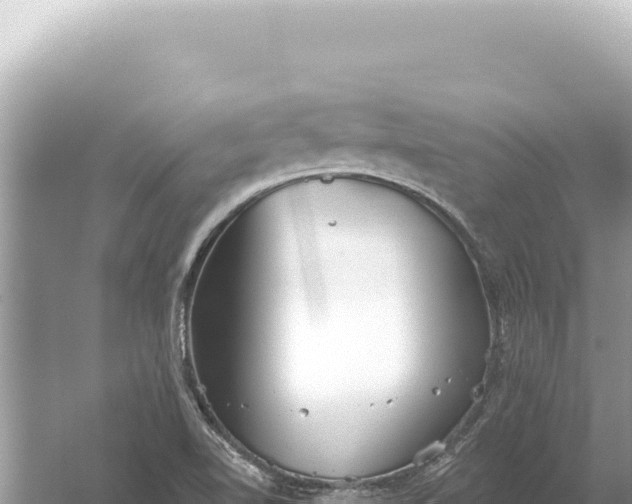 X0000059061510200510212013