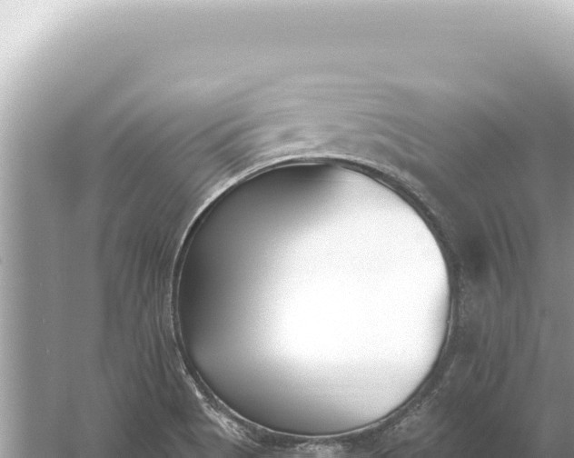 X0000059061513200510212013