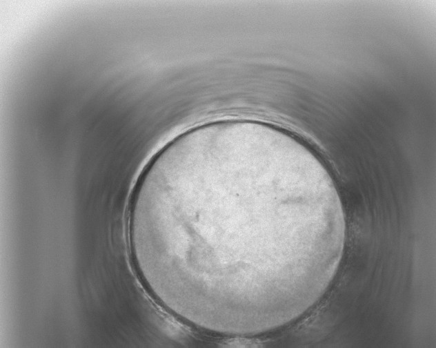 X0000059061514200510212013