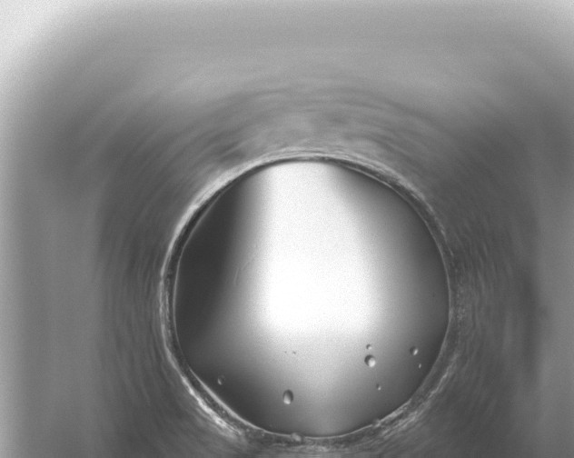 X0000059061517200510212013