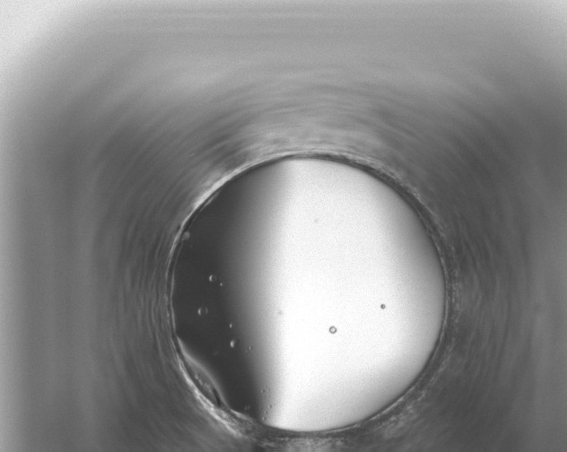 X0000059061521200510212013