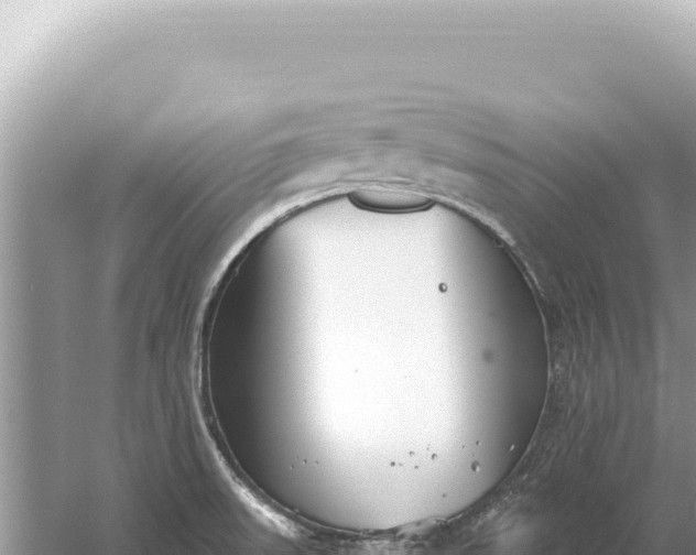 X0000059061523200510212013