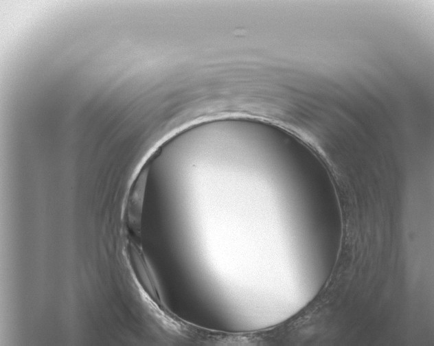 X0000059061524200510212013