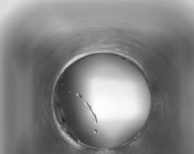 X0000059061526200510212013