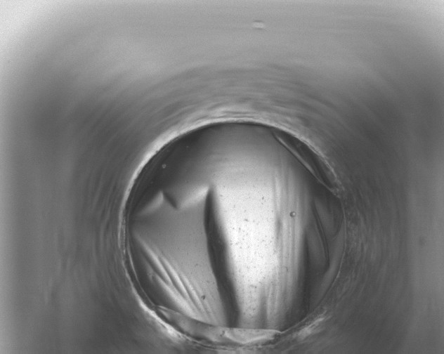 X0000059061527200510212013