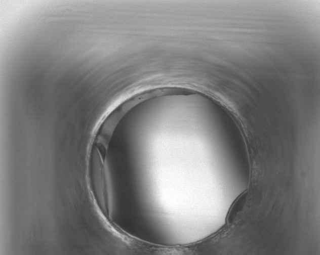 X0000059061528200510212013