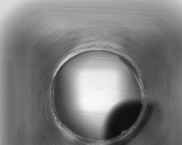 X0000059061530200510212013