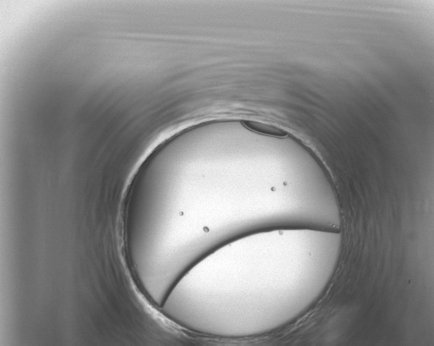 X0000059061531200510212013