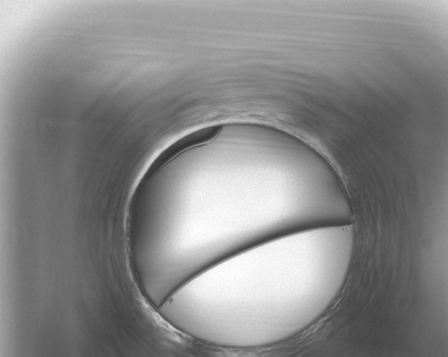 X0000059061532200510212013