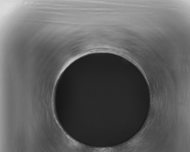 X0000059061533200510212013