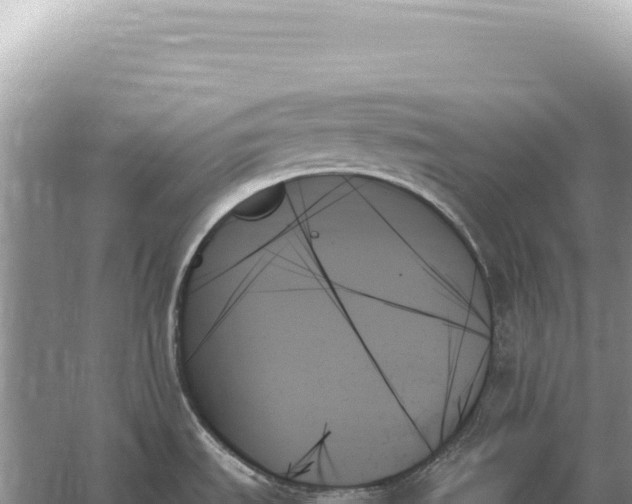 X0000059061535200510212013