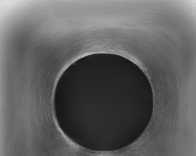 X0000059061536200510212013