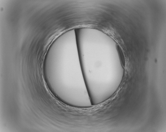 X0000059060001200510281644