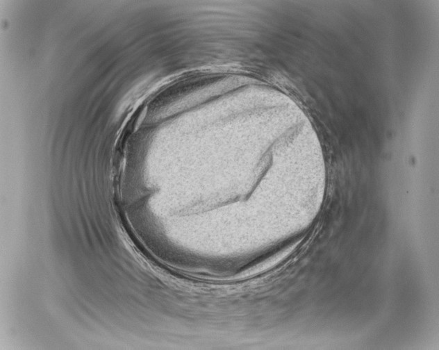 X0000059060002200510281644