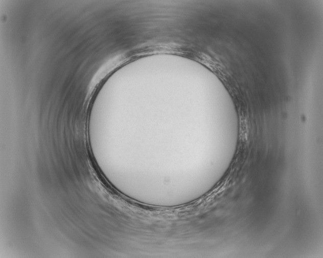 X0000059060004200510281644