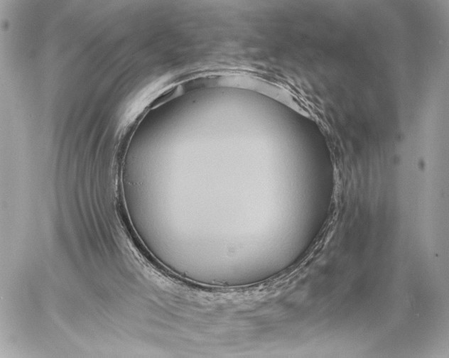 X0000059060005200510281644