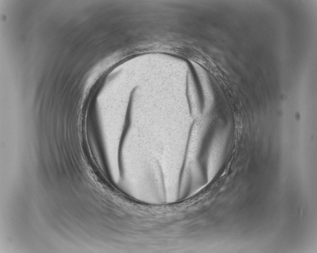 X0000059060006200510281644