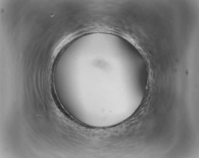 X0000059060007200510281644