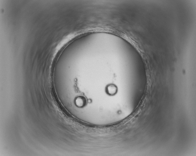 X0000059060008200510281644