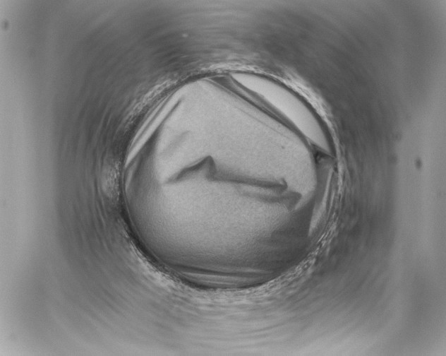 X0000059060009200510281644