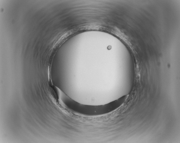 X0000059060013200510281644