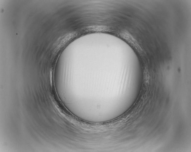 X0000059060014200510281644