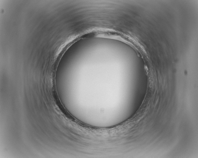 X0000059060015200510281644