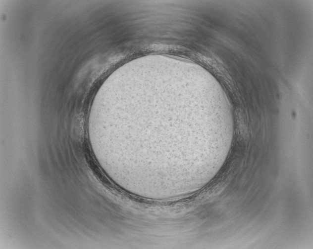 X0000059060016200510281644