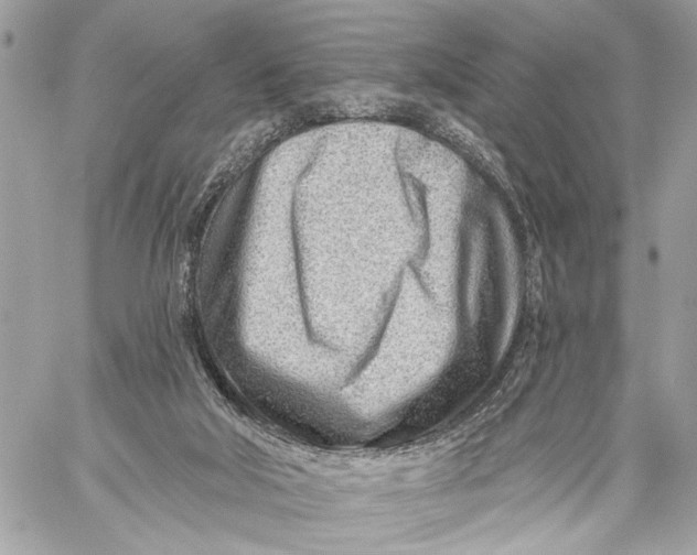 X0000059060018200510281644