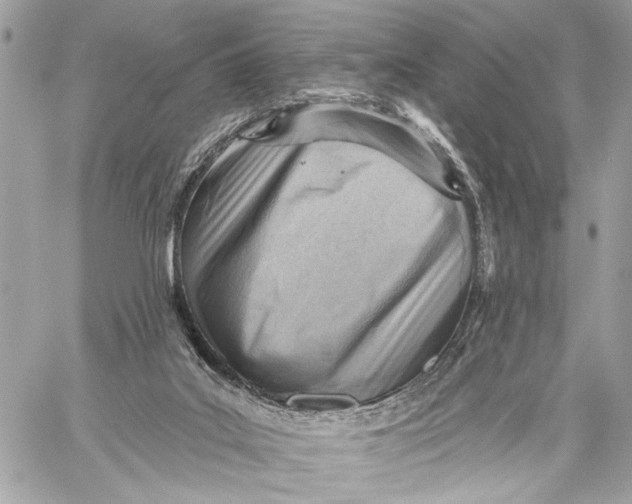 X0000059060019200510281644