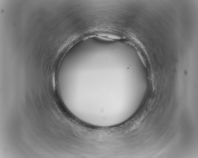 X0000059060020200510281644