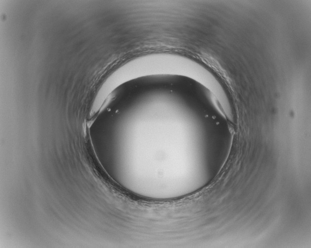 X0000059060021200510281644