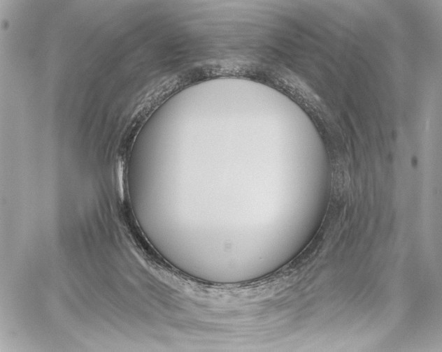 X0000059060022200510281644