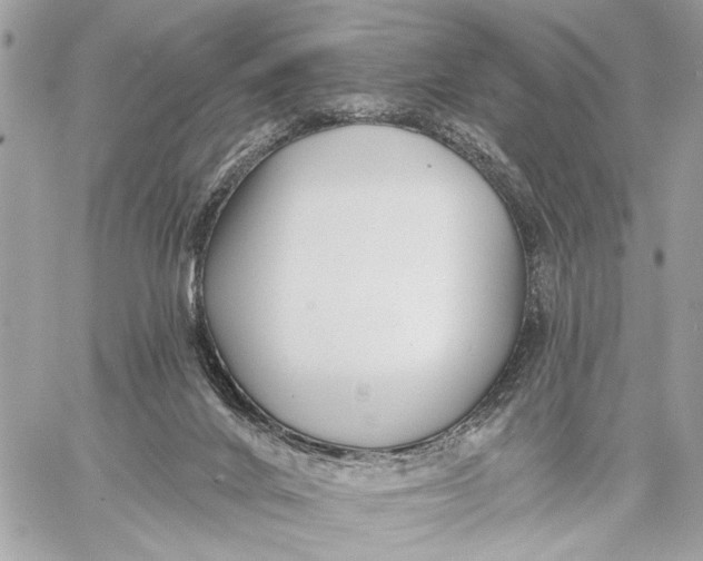 X0000059060024200510281644