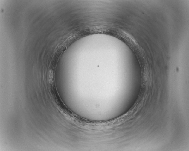 X0000059060025200510281644