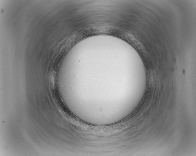 X0000059060026200510281644