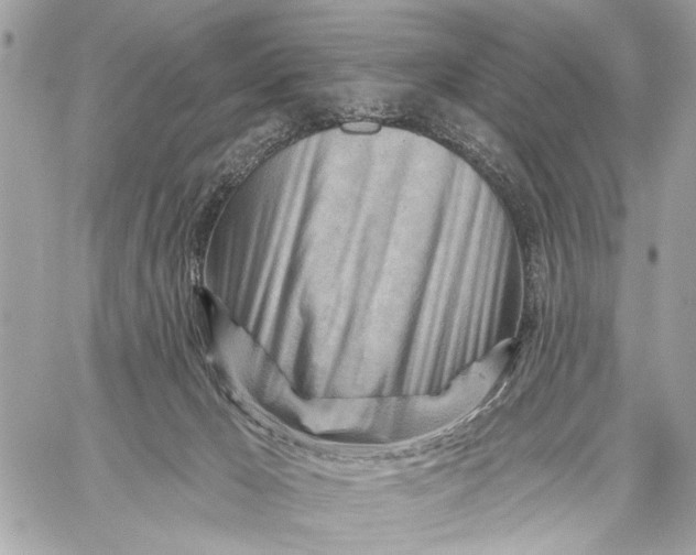 X0000059060029200510281644