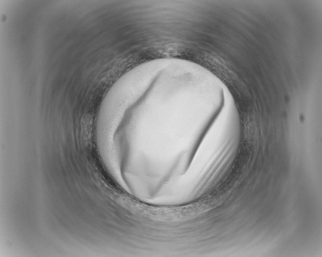 X0000059060030200510281644