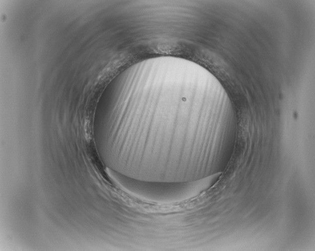 X0000059060031200510281644