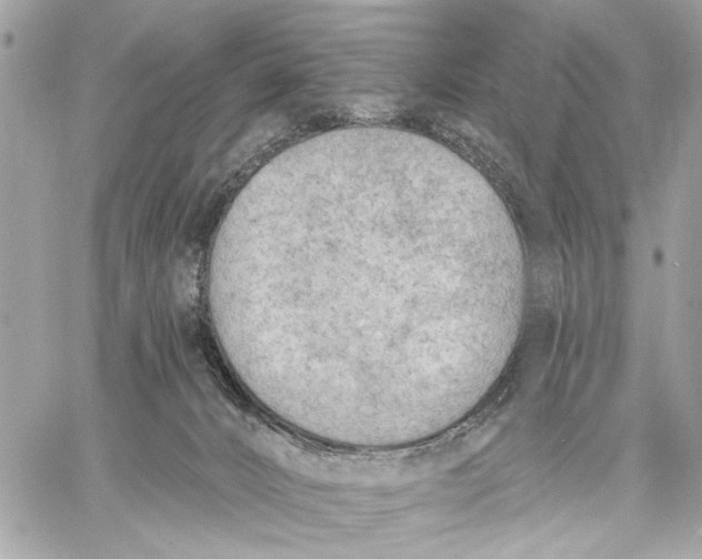 X0000059060032200510281644